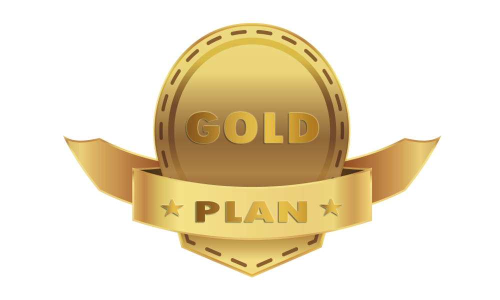 Gold plan - Joe Bricky Media
